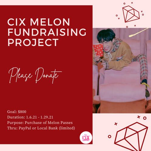 Melon Fundraising Project